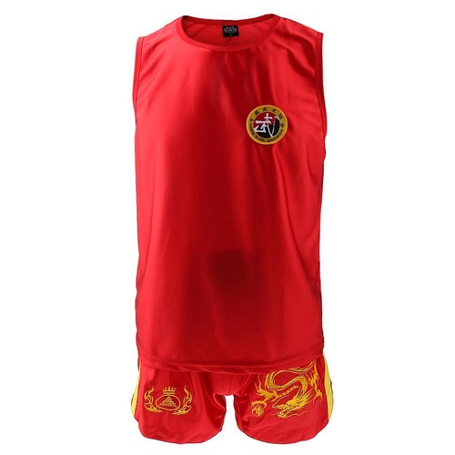 Boxing martial arts dragon - arts,